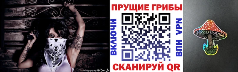 купить наркоту  Кашин  маркетплейс формула  Галлюциногенные грибы мицелий 